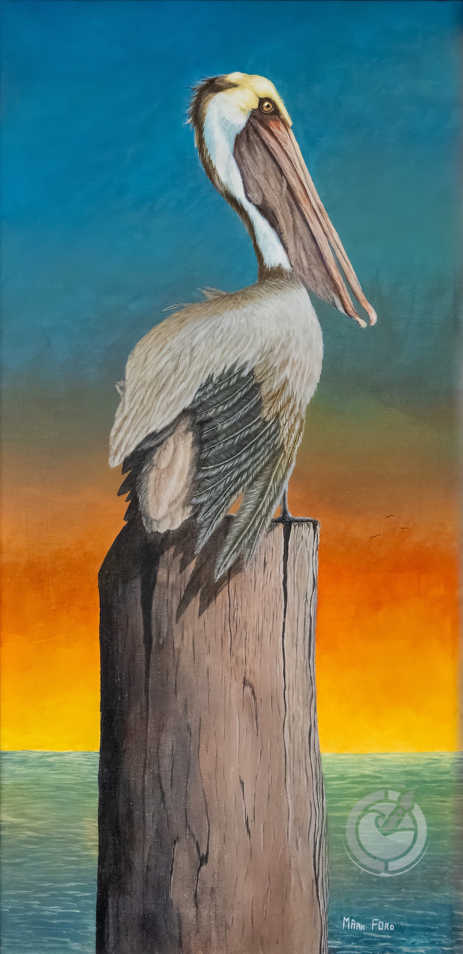 While coastal pelicans are more common, some species venture into oceanic environments. These beautiful birds are known for their distinctive pouches used for catching fish, which they then drain before swallowing.