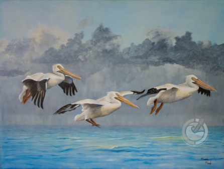 White pelicans are large and striking water birds known for their graceful appearance and distinctive feeding behavior.