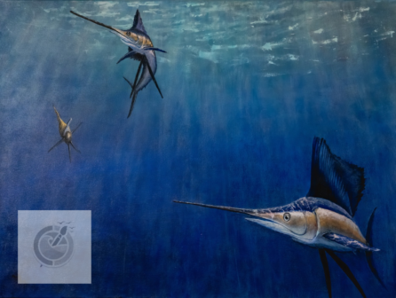 A sailfish hunting party occurs when a group of sailfish work together to hunt and capture prey.