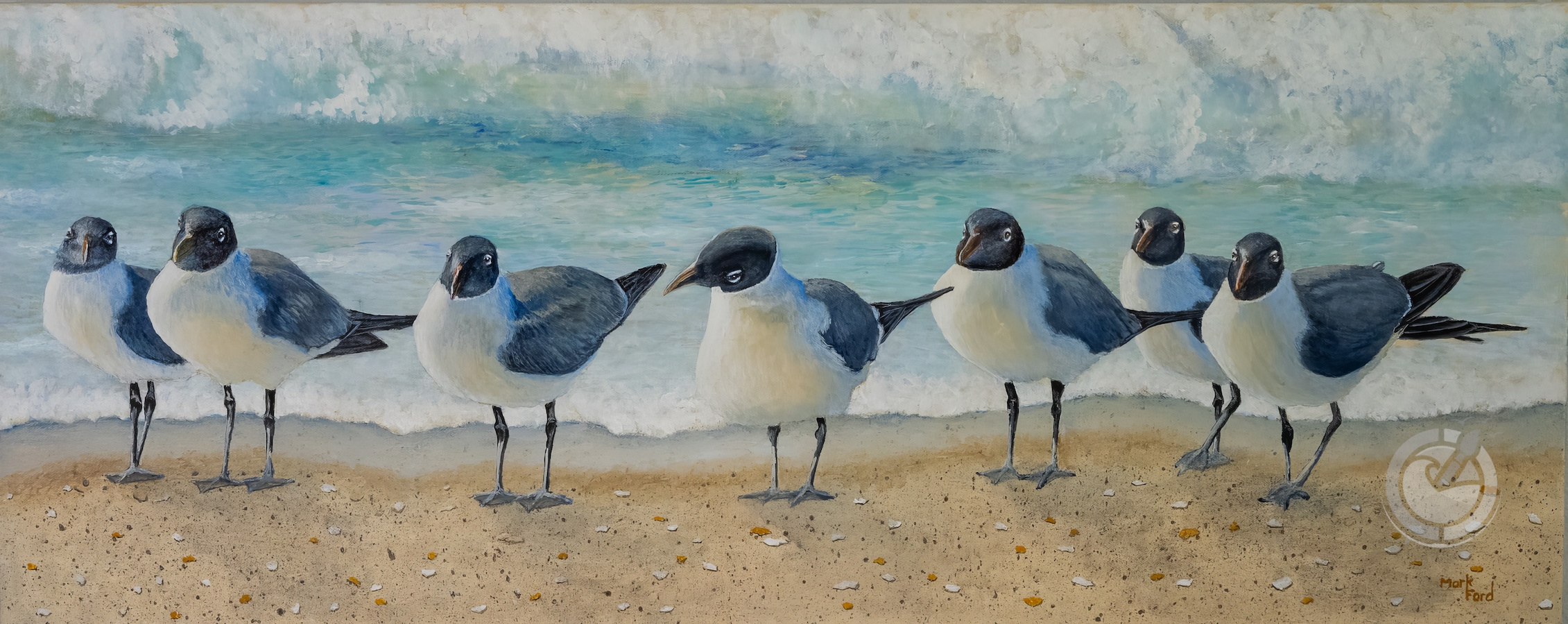 Laughing gulls are social birds often seen in flocks, both on beaches and in other coastal and inland habitats.