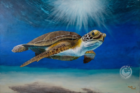 Keya means turtle in Lakota, a Native American language. It is to represent good health and longevity. It also represents Mother Earth, which reminds us of the importance of conservation and taking care of our marine animals.